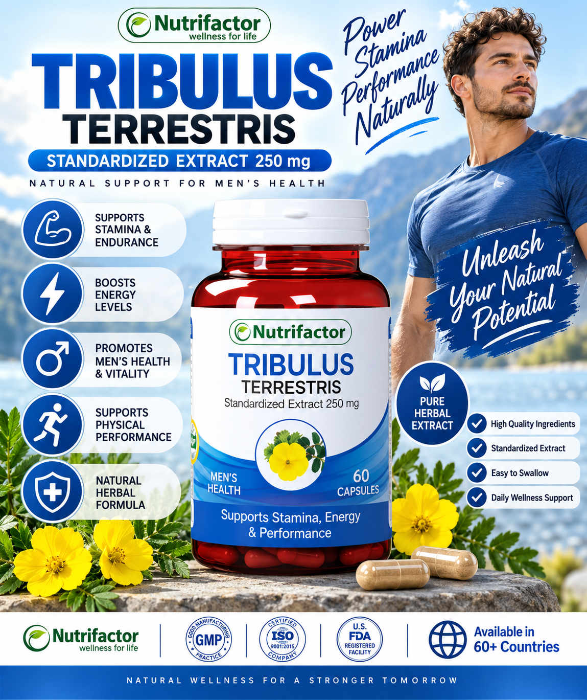 Nutrifactor Tribulus Terrestris 250mg – Men’s Stamina & Vitality Support, 60 Capsules Nutrifactor Tribulus Terrestris 250mg – Men’s Stamina & Vitality Support, 60 Capsules