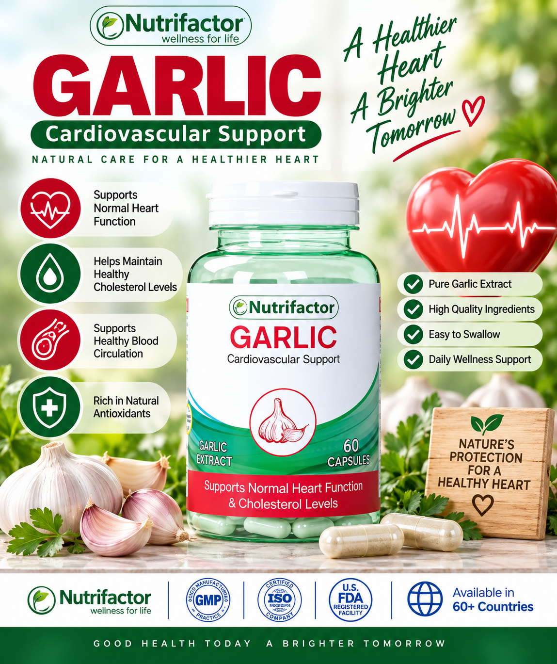 Nutrifactor Garlic Extract – Cardiovascular & Heart Health Support, 60 Capsules Nutrifactor Garlic Extract – Cardiovascular & Heart Health Support, 60 Capsules